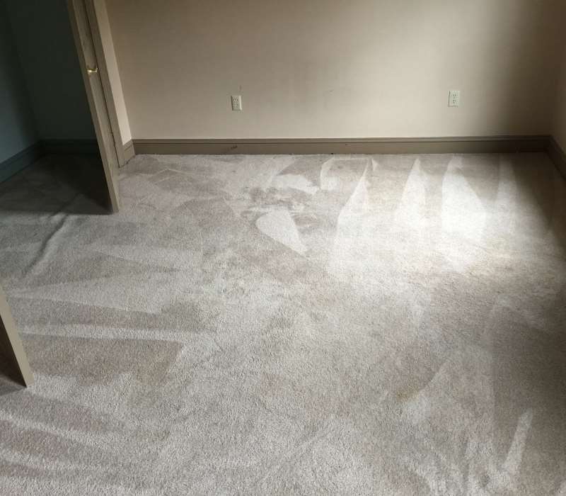 After-Carpet