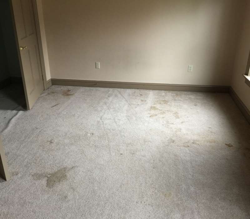 Before-Carpet Before and After