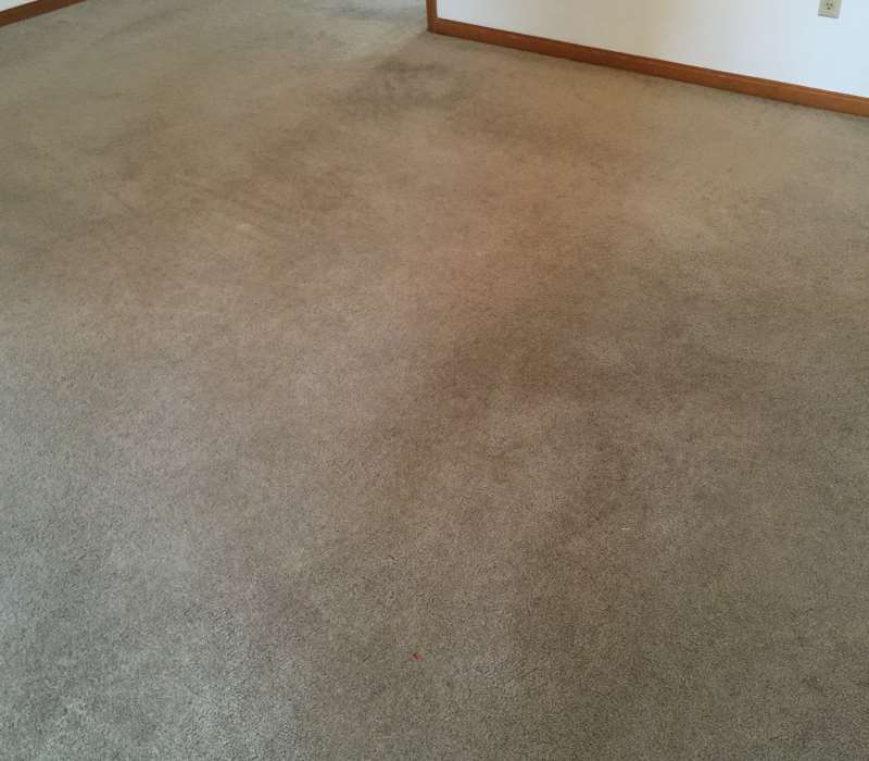 After-Dirty Carpet