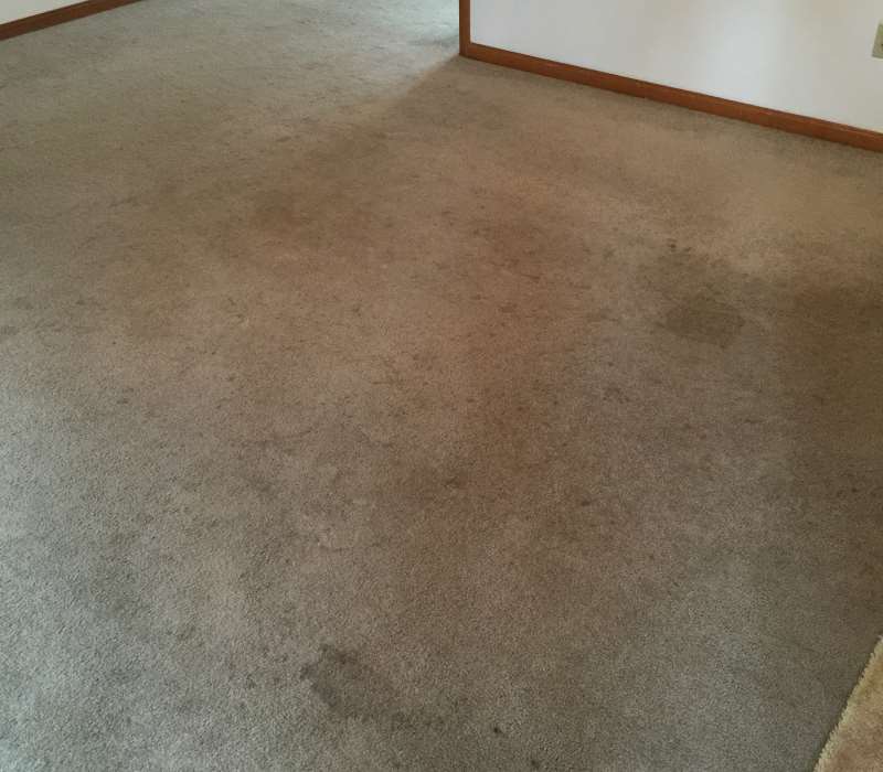 Before-Dirty Carpet