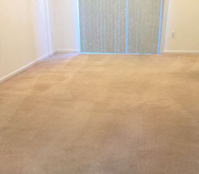 After-Dirty Carpet