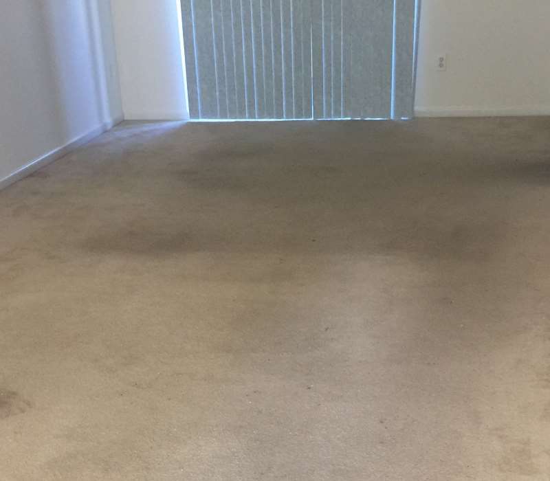 Before-Dirty Carpet
